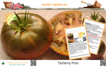 Tomate * Tschernij Prinz * 10 Samen
